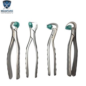 Juego de Pinzas Posteriories de Alta Calidad para Fisioterapia Dental |   Instrumentos Profesionales para Extracción Dental para Clínicas y Dentistas - Product Image 3