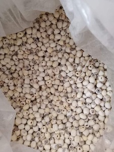 กรุบกรอบบริสุทธ์และบริสุทธิ์ลองเมล็ดบัวอบแห้งวันนี้ - Product Image 5