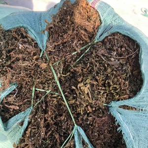 สาหร่าย Sargassum แห้งเวียดนามและผงสาหร่ายสำหรับอาหารสัตว์ในราคาที่เหมาะสมลิมา - Product Image 1