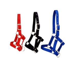 Type de sangle en cuir de cheval - Product Image 6