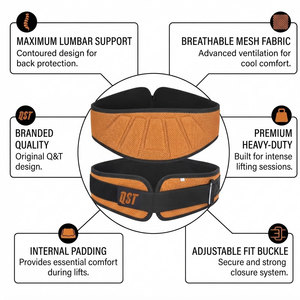 Ceintures de musculation, de powerlifting et de cross-training à verrouillage rapide, en néoprène, avec boucles métalliques, soutien dorsal renforcé, ceinture de gym - Product Image 5