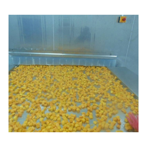 Mango IQF en Cubos de Vietnam, 15x15mm, Fruta Congelada para Yogur y Helado - Product Image 6