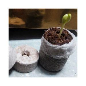 เม็ดมะพร้าวอัดแน่น จิฟฟี่เพลเล็ตส์ พรีเมียม ใยมะพร้าวอัดแท่ง สำหรับการงอกของเมล็ด ชุดเพาะพันธุ์ในร่ม - Product Image 1