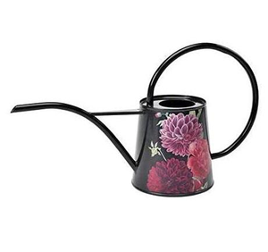 Regadera de metal de hierro con recubrimiento en polvo sin acabado, de alta calidad, diseño moderno, para uso diario en el hogar y jardín, ¡la más vendida! - Product Image 1