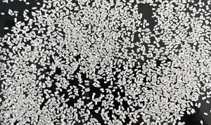 ข้าวหอมมะลิ 100% คุณภาพดี ขายส่งจำนวนมาก ราคาพิเศษ ตรงจากโรงงานเวียดนาม WA0084786436556 - Product Image 2