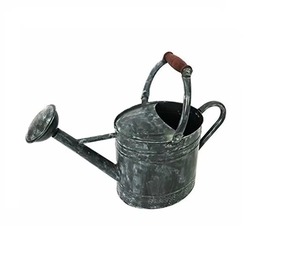 Arrosoir en fer rustique de haute qualité avec poignée en bois, outil de jardinage durable, finition peinte - Product Image 3