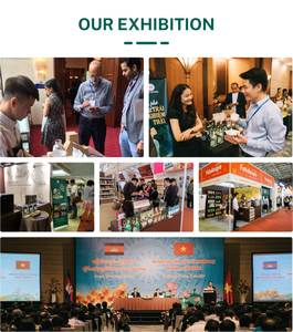 HANCOFFEE Grano entero de café tostado 100% Arábica Robusta Estándar Calidad Premium Buen precio Embalaje en bolsa - Product Image 3