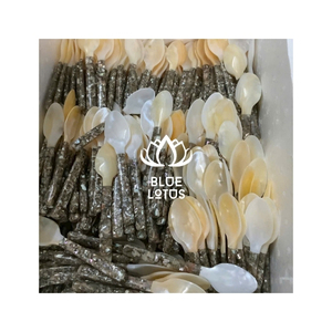 Cuillère en nacre disponible, matériau écologique pour le service du café et la dégustation de desserts, avec finition propre et surface lisse pour B2B - Product Image 1