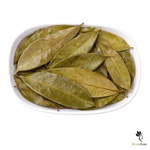 Bulk supply of dried Annona muricata leaves from Vietnam farms, carefully selected and naturally dried, ideal for tea production - Product Image 3