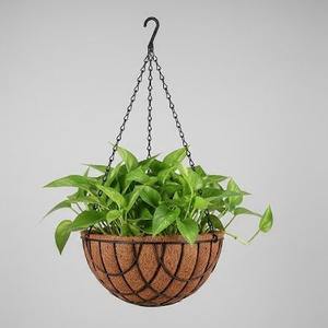 Macetas Colgantes de Fibra de Coco MDS Coco's - Ecológicas, con Alta Retención de Agua, Ligeras, para Jardinería y Agricultura - Product Image 1