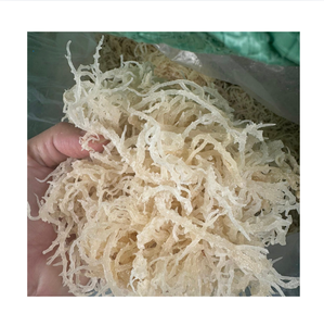 สาหร่ายทะเลขาวแห้งแบบหั่น ขนาด 20-40 ซม. อุดมด้วยความชื้น แหล่งผลิต คาเมา เวียดนาม อายุการเก็บรักษา 12 เดือน - Product Image 1