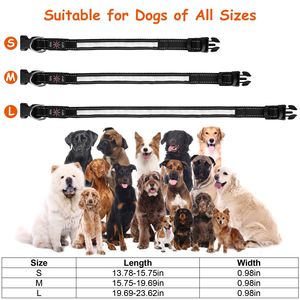 Collare per Cani LED con 9 Colori, Impermeabile IPX7, Ricaricabile USB, Collare Luminoso di Sicurezza Notturna per Animali Domestici - Product Image 2