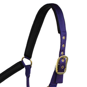 Bridon et harnais de qualité supérieure de style anglais, en cuir véritable, adaptés à l'usage extérieur. - Product Image 5