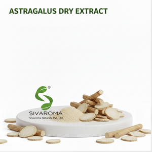 Extrait sec d'Astragale Sivaroma pour les acheteurs commerciaux soutenant les lignes de production de produits naturels - Product Image 3