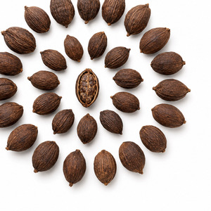 Delicious Factory In Vietnam International Standard Top Selling Wholesale Price Black Cardamom 25kg/bag - Product Image 3