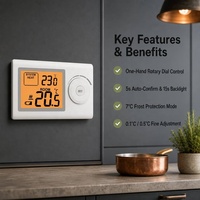 Contrôleur de température numérique haut de gamme en gros avec relais 6(2)A 230V pour systèmes de chauffage et de climatisation domestiques