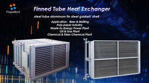 Intercambiador de Calor de Tubos Aletados para el Pretratamiento de Materia Prima Plástica |   Secado y Precalentamiento Eficiente de Pellets de PE/PP - Product Image 6