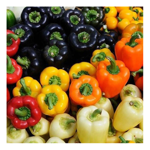 Vegetales Frescos: Pimientos Rojos, Pimientos Verdes, Pimientos Amarillos, Chiles Frescos - Product Image 3