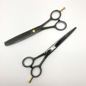 Ciseaux de coiffure professionnels japonais en acier inoxydable pour la coupe à domicile, kit de ciseaux à effiler pour barbier/salon, argenté avec peigne et étui - Product Image 2