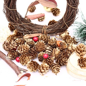 Pignons de pin séchés naturels pour décorations de Noël, artisanat DIY, fabrication de couronnes, vente en gros - Product Image 5