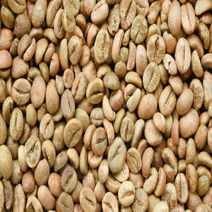 Indian Arabica Green <b>Coffee</b> <b>Beans</b> Grade a 100% Pure Wholesale Export for Commercial Roasters & International Beverage Networks - Product Image 5