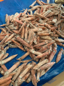 Premium Frozen <b>squid</b> tube Frozen <b>Squid</b> Tubes 1lb Frozen Cleaned <b>Calamari</b> <b>Squid</b> Tubes Only/2.5 lb Vietnam Frozen <b>Squid</b> Tubes - Product Image 5