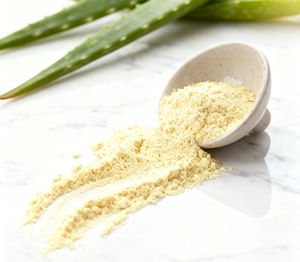 Polvo de aloe vera de alta calidad 200X con suministro a granel para un uso efectivo en el cuidado de la piel como ingrediente en la fabricación de cosméticos. - Product Image 6