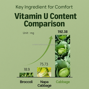 Comprimés d'extrait de chou OEM de Corée 300mg 200 pour l'équilibre intestinal et le soulagement digestif - Product Image 3