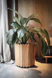 Pots de jardin en bois écologiques, vase à fleurs carré multicolores, style moderne, pot de fleurs de bureau pour la décoration de la maison et du salon - Product Image 4