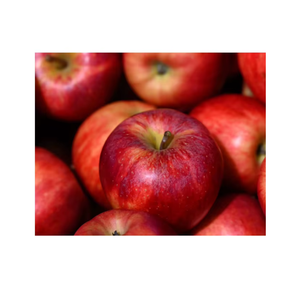Manzanas Frescas Premium, Dulces, Crujientes y Jugosas para Venta al por Mayor, Mercado Minorista y Suministro de Alimentos - Product Image 1