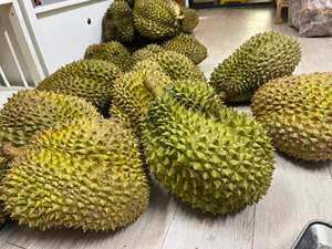 ทุเรียนริ6 มุนทองสดจากเวียดนาม ผลไม้ธรรมชาติสำหรับเสิร์ฟสด ทำขนมหวาน สมูทตี้ ใช้ในร้านอาหาร และขายส่ง - Product Image 4