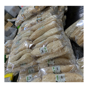 ฟองน้ำใยบวบธรรมชาติแบบออร์แกนิค  เป็นมิตรต่อสิ่งแวดล้อม ผลิตด้วยมือ สำหรับขัดผิว ดูแลผิว ใช้ได้ทั้งในบ้านและเชิงพาณิชย์ - Product Image 1
