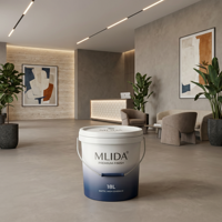 Peinture murale micro-ciment pour murs intérieurs, résistante aux fissures, imperméable, résistante aux intempéries, fourniture directe d'usine OEM