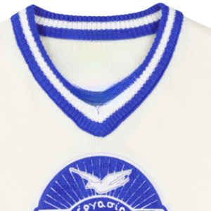 Pull en laine ivoire à col en V Zeta Phi Beta, broderie de lettres grecques ZPB, bordure côtelée, vêtements en tricot de qualité supérieure pour femmes - Product Image 5