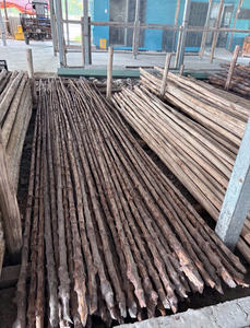 Eucalipto Desbastado de Calidad Premium para Construcción y Fabricación - Product Image 5