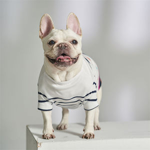 ODM Taiwan Made Custom Print Gradient Color Striped <b>Cat</b> Dog <b>t</b> Shirt - Product Image 3
