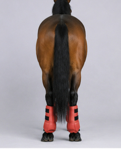 Protège-jambes pour chevaux en néoprène, bottes médicinales respirantes, amortissantes, durables, équipement d'équitation, service OEM personnalisé - Product Image 6