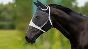 2pcs <b>Fly</b> <b>Mask</b> with Ears for Horses Soft Stretchy Mesh Horse Face Cover, Breathable Eye Protection <b>Fly</b> <b>Masks</b> UV Protective Horse - Product Image 3