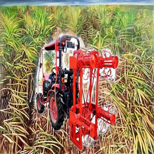 Desmalezadora de Caña de Azúcar Sabin, Operada por Tractor, 195 kg, Caja de Cambios Motorizada, 14-30 HP, Capacidad de 6-12 Acrómetros - Product Image 3