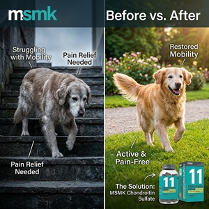 Golosinas Masticables Suaves con Cartílago de Tiburón OEM para Perros y Gatos con Glucosamina, Condroitina, MSM y Vitamina C para el Alivio del Dolor de Cadera y Articulaciones - Product Image 3