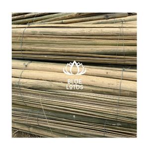 Meilleures ventes : Lattes de bambou écologiques séparées, bandes flexibles pour artisanat, matériau pour la fabrication de cerfs-volants DIY, vente en gros - Product Image 1