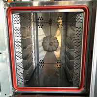 Nuevo Horno de Convección Eléctrico Profesional Programable Automático de Sobremesa de 220V con 6 Bandejas y Función de Vapor para Hacer Pan
