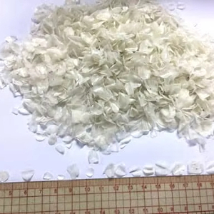 Meilleures ventes d'écailles de poisson du Vietnam, approvisionnement en vrac, matière première de haute qualité - Product Image 1