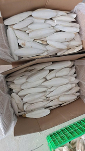 กระดูกปลาหมึกแห้งธรรมชาติขายส่ง แหล่งแคลเซียมบริสุทธิ์สูง สำหรับการผลิตอาหารสัตว์เลี้ยงและอาหารเสริมโภชนาการสำหรับนก - Product Image 6