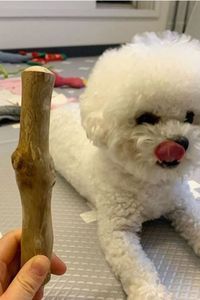Jouet à mâcher pour chien en bois naturel – Bâton en bois de café pour les mâcheurs agressifs - Product Image 1
