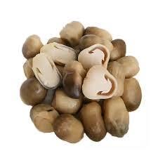 Hongo de Paja Seco Premium, Hongo Comestible de Alta Calidad, Proveedor Mayorista - Product Image 2