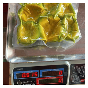 Trozos de Aguacate Congelado IQF Hass, Material Natural Fresco para Preparación de Smoothies, Producción de Postres y Servicio de Alimentos, Vietnam - Product Image 2