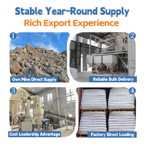 Conditionneur de sol écologique, zéolite minérale pour la plantation de légumes biologiques - Promoteur de croissance des racines pour une récolte saine - Product Image 5