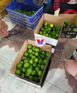 Limón Fresco Sin Semillas del Delta de Vietnam, Fruta Cítrica Orgánica de Calidad de Exportación/Ms. Kelly - Product Image 5