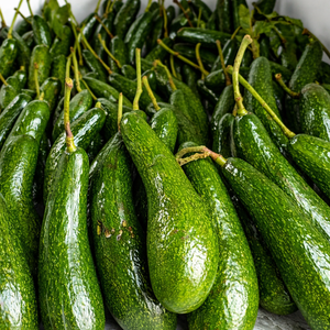 AGUACATES Congelados de Alta Calidad Exportados de Vietnam, Gran Venta con Buen Precio en el Mercado/ Sra. ALINA - Product Image 4